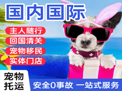 广元盘龙机场物流国际宠物托运 【国